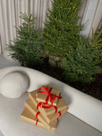 🎁Dovanų pakavimas – trys dydžiai “Gift Packaging”